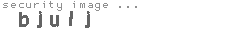security image
