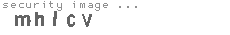 security image
