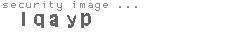 security image