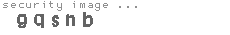 security image