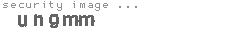security image