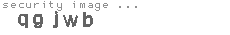 security image