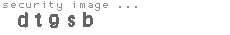 security image