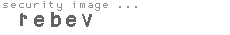security image