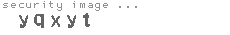 security image