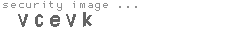 security image