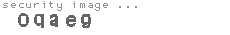security image