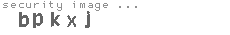 security image