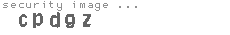security image