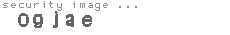 security image
