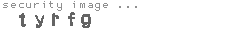 security image