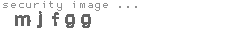 security image