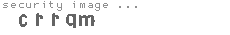 security image