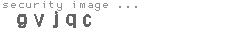 security image