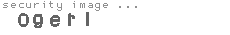 security image