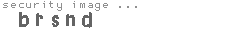 security image