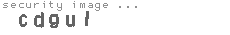 security image