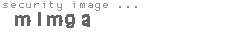 security image