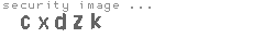 security image