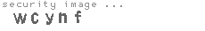security image