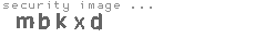 security image