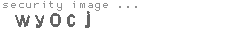 security image