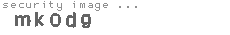 security image