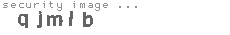 security image