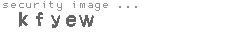 security image