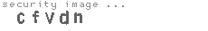 security image