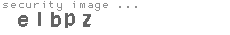 security image