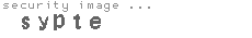 security image