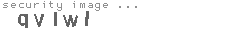 security image