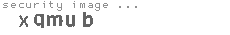security image