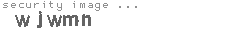 security image