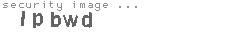 security image