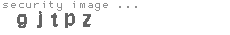 security image
