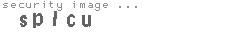 security image