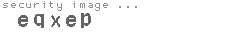 security image