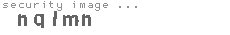 security image