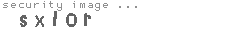 security image