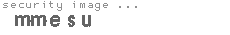 security image