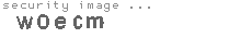security image