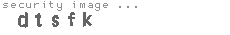 security image