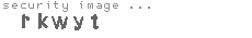 security image