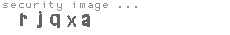 security image