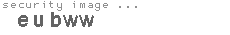 security image