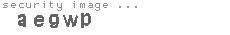 security image