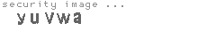 security image