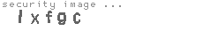 security image